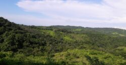 Finca terreno de 94 hectareas en el municipio de Repelon Atlantico