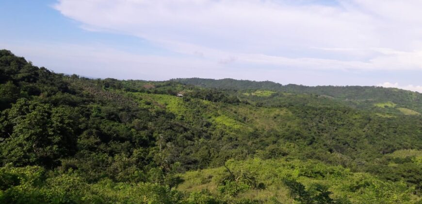 Finca terreno de 94 hectareas en el municipio de Repelon Atlantico